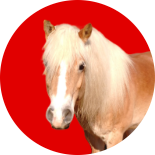 Logo Oca
